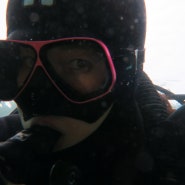 두마게티 다이빙 수중사진 | 딱 50장의 사진만 올리고 포스팅 마무리 하겠습니다~ 즐감하세요:)