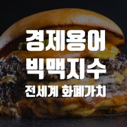 경제용어 빅맥지수 전세계 화폐가치