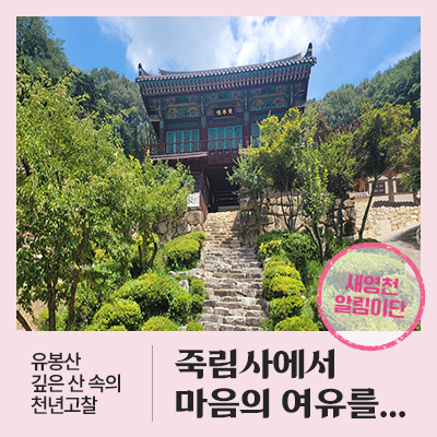 영천 힐링장소 추천하는 천년고찰 죽림사 : 네이버 블로그
