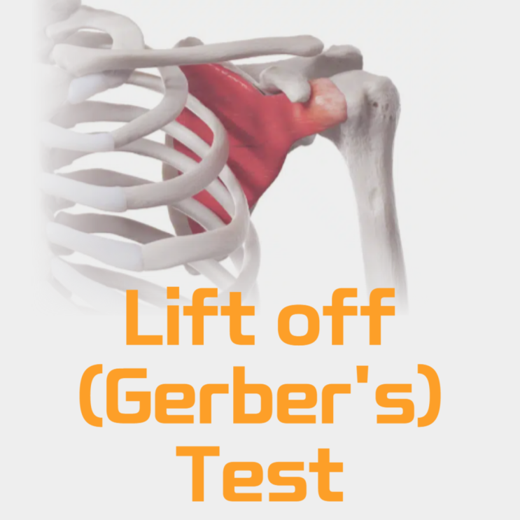 Lift off test(Gerber's test), 견갑하근 스페셜테스트 이학적검사 : 네이버 블로그