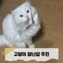 [시로일상] 키트니 :: 고양이 낚싯대 장난감 추천 리뷰