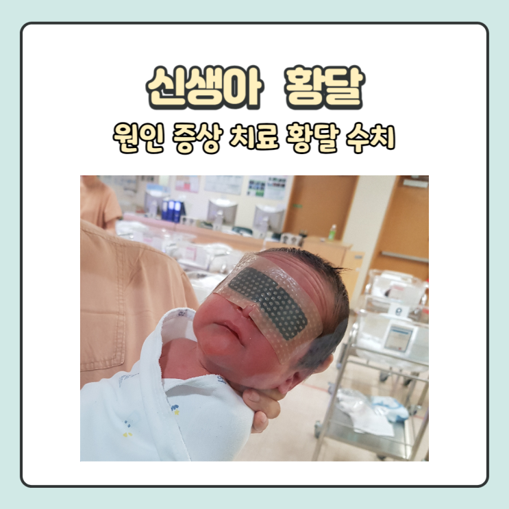 신생아 황달 원인 증상 치료 아기 황달 정상수치 (모유황달) : 네이버 블로그