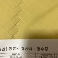 골절일기14 메리츠화재 실비 청구 방법과 서류