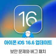 아이폰 iOS 16.6 업데이트 보안 문제와 버그 패치