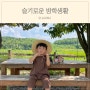 슬기로운 방학생활, 아기랑 갈 만한 곳 당진 대덕별장/예산 백설농부/키즈카페