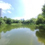 서울에서 즐기는 여유로운 주말 오후, 뚝섬 서울숲 방문기