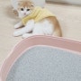 벤토나이트모래 먼지없는 알파 고양이모래 추천