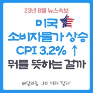 미국 7월 소비자물가지수 CPI 연속 상승중, 금리에 어떤 영향?