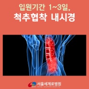 송파 척추병원, 척추내시경으로 척추협착을 치료합니다.