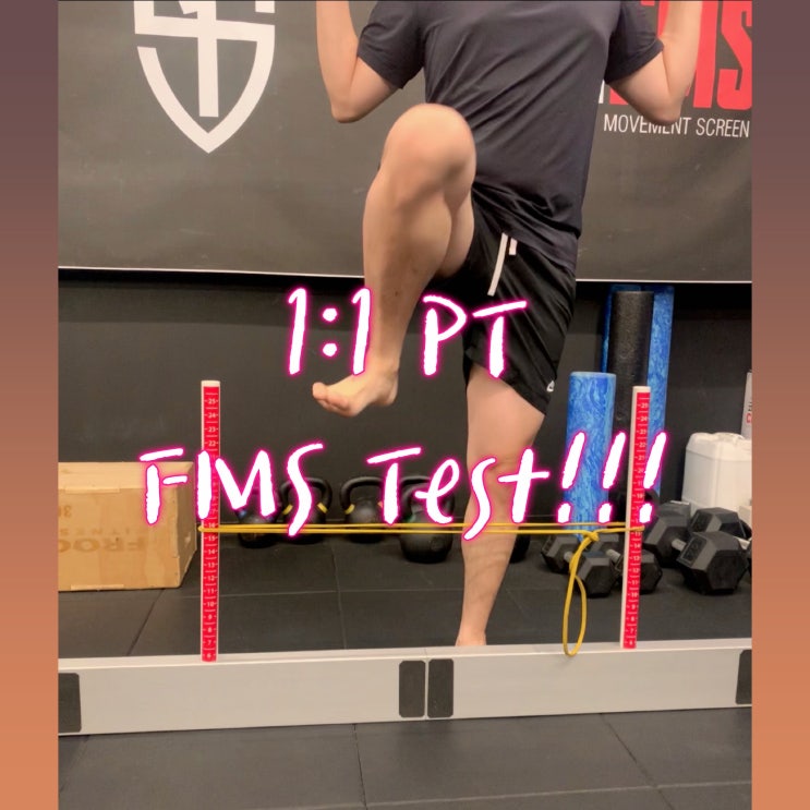 [포항이동pt]PSG이강인 선수도 하는 FMS test! : 네이버 블로그