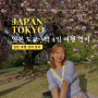 [일본 여행] 일본 도쿄 3박 4일 여행 경비 자유여행 비용 총정리