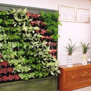 부천 시청 실내조경의 벽면 녹화 관리 (식물 유지관리)
