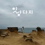 [대만 예스지투어] 다들 하길래 신청한 예스지 투어 만족스러운 후기(feat. 렛미히어)