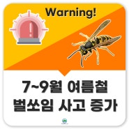 말벌주의보, 벌 쏘임 사고가 늘고 있는 7~9월 여름철, 말벌 조심하세요!