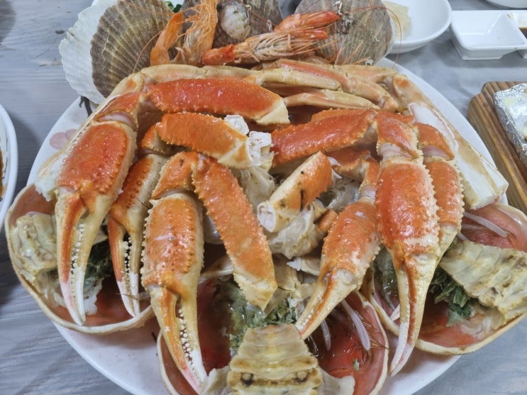 포항 죽도시장 대게 맛집 영광회대게센타 내돈내산 : 네이버 블로그
