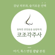 강남역 톡스앤필 코조각주사는 어떤 주사?