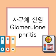 [ IM, 내과 ] 사구체 신염 glomerulonephritis / 사구체신염 원인, 증상, 치료, 간호