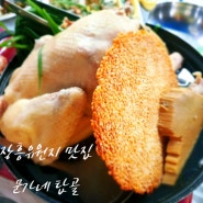 장흥유원지 맛집 문가네 탑골_장흥계곡 물놀이 식당에서 닭백숙