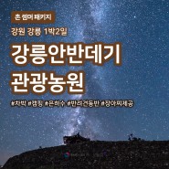 [1박/강릉] 안반데기, 차박+장아찌+반려견동반+은하수