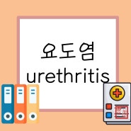 [ IM, 내과 ] 요도염 urehtritis / 원인, 증상, 치료, 간호