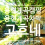 「서산 용현계곡 캠핑」차박, 평상 대여 고흐네 후기