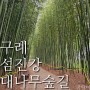전남 구례 관광지 섬진강 대나무숲길 포토존 가는법 주차장 소요시간