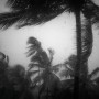 Tropical Monsoon Goa