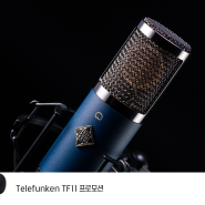 [프로모션] Telefunken의 TF11 시리즈를 할인된 가격에 구입하고 마이크 살균기 Bullet 까지 받아가세요 ~