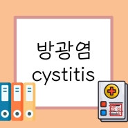 [ IM, 내과] 방광염 Cystits / 원인, 증상, 치료, 간호