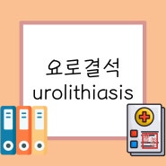 [ IM, 내과 ] 요로결석 urolithiasis / 요로결석 원인, 증상, 치료, 간호