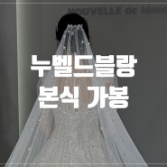 W13. 결혼준비 :: '누벨드블랑'에서 본식 드레스/2부 드레스 가봉 셀렉 후기 (스압조심)