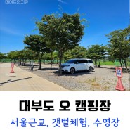 서울근교 대부도 오 캠핑장 : 갯벌체험, 수영장, 일몰, 별