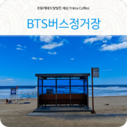 BTS 버스 정류장 모습이 멋진 강릉 향호해변