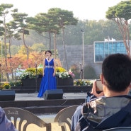 10월 11월 전남 화순 함평엑스포공원에서 열리는 대한민국 국향대전