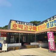 송림 농수산물 직판장 호박고구마 구매!