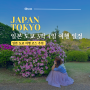 [일본 여행] 일본 도쿄 3박 4일 여행 일정 자유여행 코스 추천