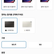 갤럭시탭 S9 Ultra 사용후기 구매 팁
