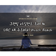 [밴쿠버] Day 21. 그랜빌 아일랜드/ 대학교 속 누드 비치 UBC 탐방/ 밴쿠버의 야경 명소 추천