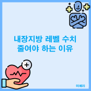 내장지방 레벨 수치 줄여야 하는 이유