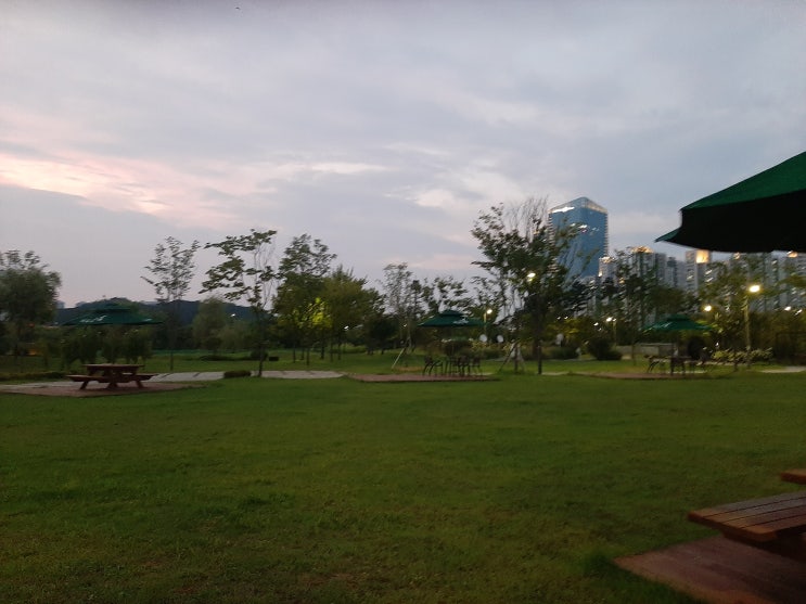동탄 여울공원 음악분수 : 네이버 블로그