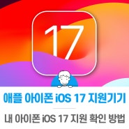 애플 아이폰 iOS 17 지원기기 내 아이폰 iOS 17 지원 확인 방법