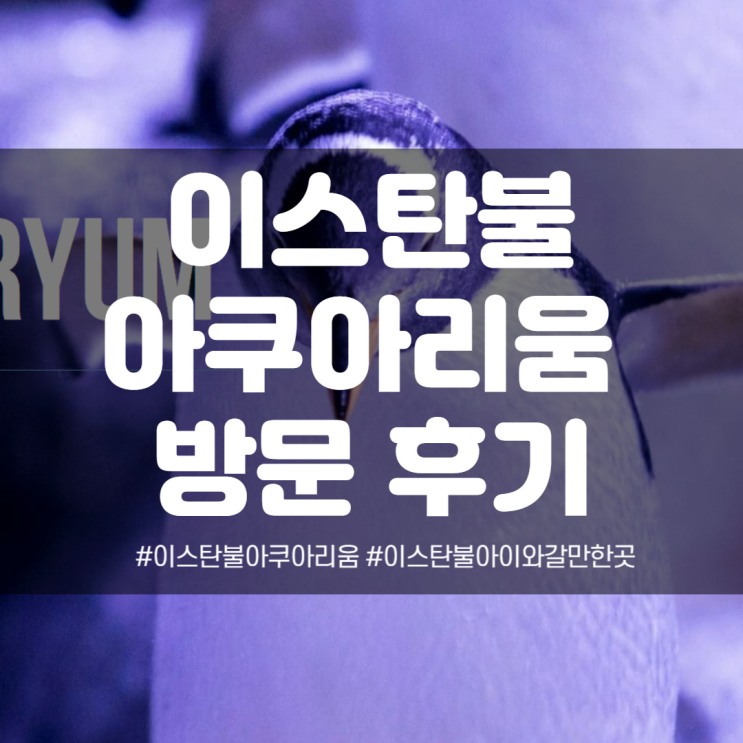 아쿠아 플로리아몰 이스탄불 아쿠아리움(데이트코스 추천)
