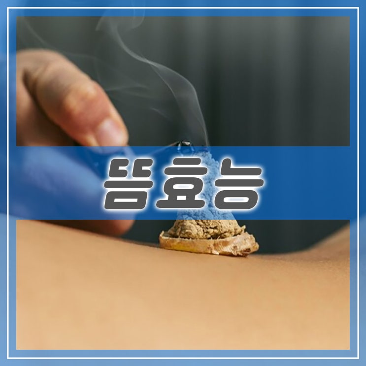 쑥뜸 효능과 치료 종류와 뜸 효과의 작용 원리 : 네이버 블로그