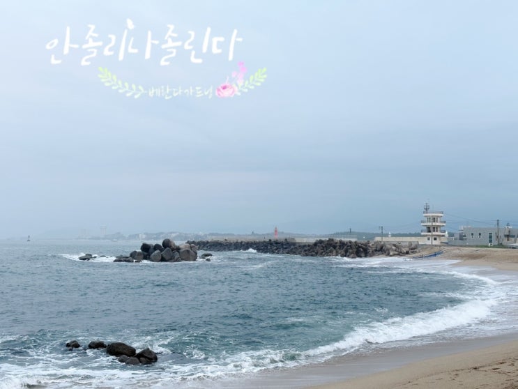 강릉 : 네이버 블로그