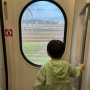 SRT 오송-부산/ 유아동반석 후기, 좋은 자리 예매 꿀팁, 아이랑 기차여행하기