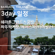 🇹🇭 효정연투어 | 방콕여행기 | 4박6일 | 3Day일정 | 살라라타나코신/짜뚜짝시장/쉐라톤그랜드스쿰빗/화이트하우스/터미널21/해브어지드/에이스파