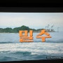 [일상] 23.08.w1 | 새 동백전카드/귀여운 연필꽂이/청년다방 차돌떡볶이/영화 밀수