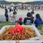 [일본 교환학생 D+136, 137, 138] 카메오카 하나비 축제