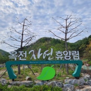 [충북 제천] 옥전자연휴양림 옥전2호