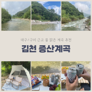 [김천] 물놀이하기 좋은 구미 대구 근교 계곡 : 증산계곡 (캠핑 스팟)